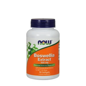 Extrakt z boswellie 500 mg – Viking Supplements