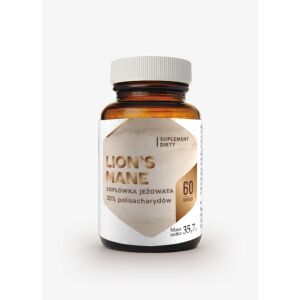 HEPATICA Lion's Mane (60 caps) - Viking Supplements