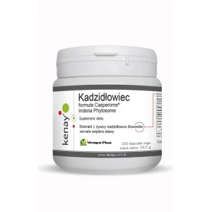 KENAY Boswellia Casperome Indena Phytosome (300 caps) - Viking Supplements