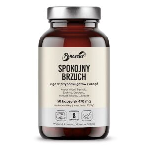 PANASEUS Úľava pre žalúdok (50 kapsúl) – Viking Supplements