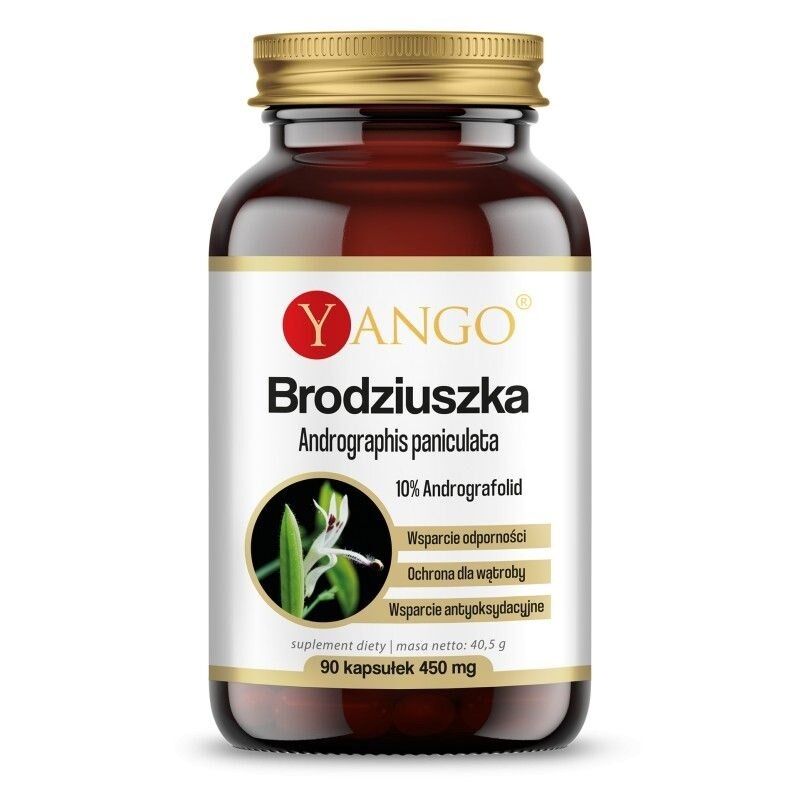YANGO Andrographis paniculata (90 kapsúl) – Viking Supplements