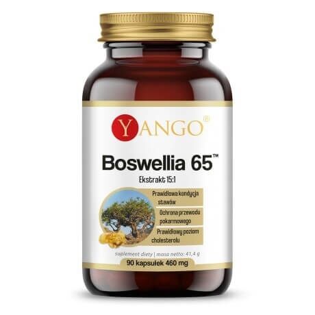 YANGO Boswellia 65 (90 caps) - Nuvalia