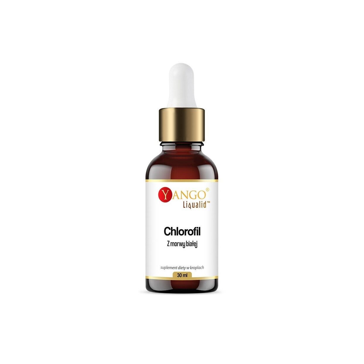 YANGO Chlorofyl z bieleho moruše v kvapkách (30 ml / 1 fl. oz.) – Viking Supplements